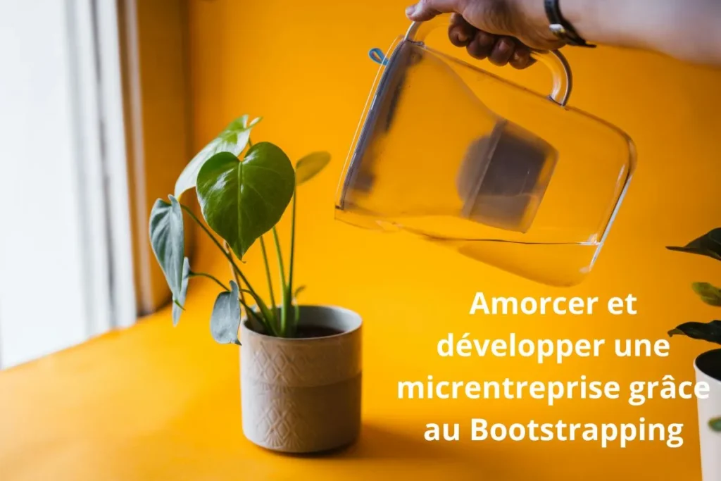 bootstrapping pour la micro enterprise
